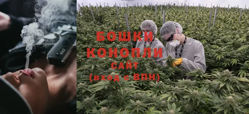 Шишки марихуана OG Kush  KRAKEN   Гуково 